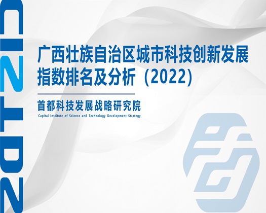 轻点肏视频【成果发布】广西壮族自治区城市科技创新发展指数排名及分析（2022）